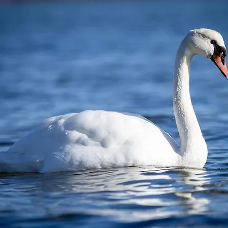 Seaside Charm In Binderup-by Traum Дом отдыха *