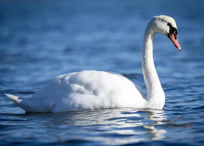 Seaside Charm In Binderup-by Traum Holiday home *