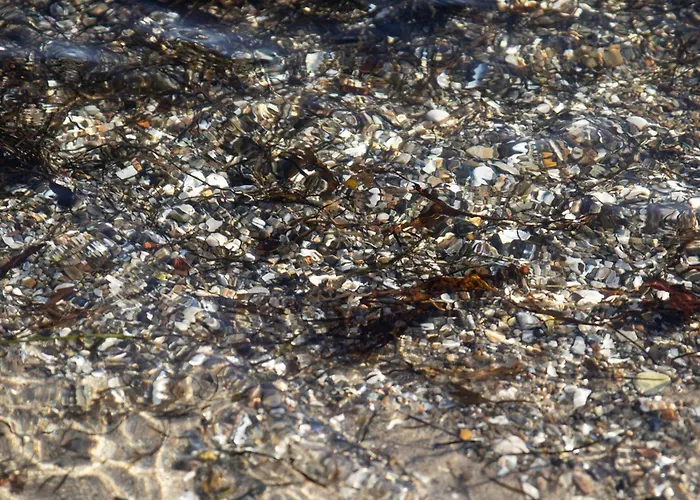 Holiday home Seaside Charm In Binderup-by Traum